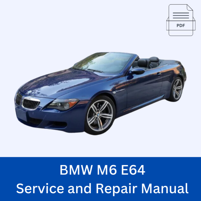 BMW M6 E64 Service and Repair Manual