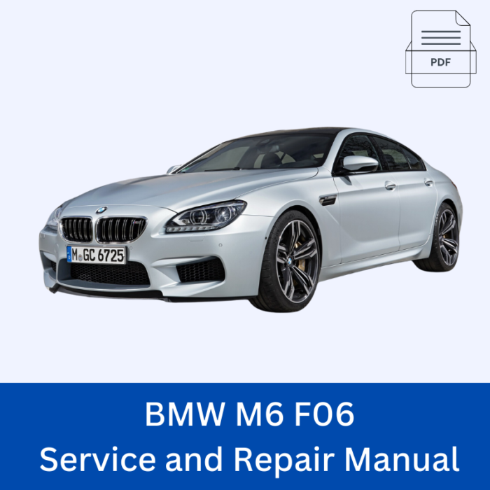 BMW M6 F06 Service and Repair Manual