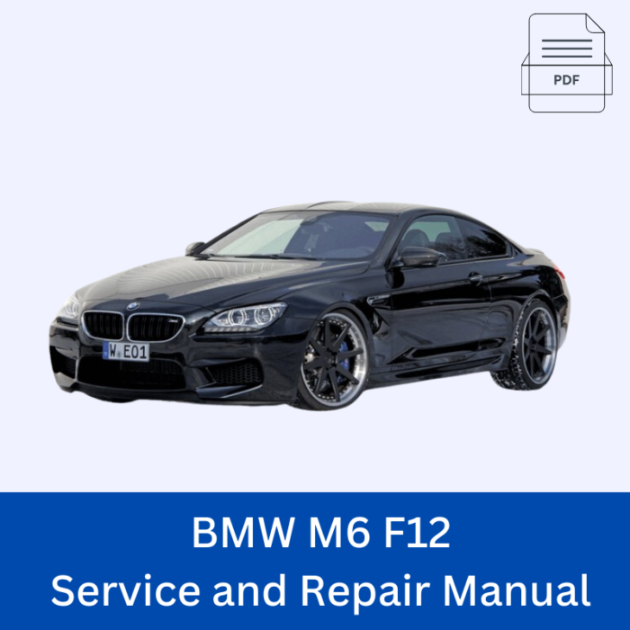 BMW M6 F12 Service and Repair Manual