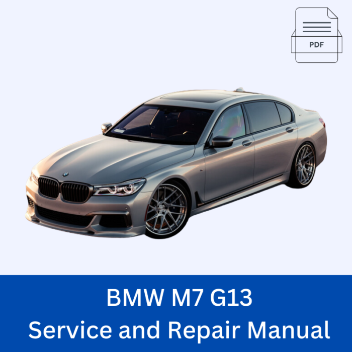 BMW M6 F13 Service and Repair Manual