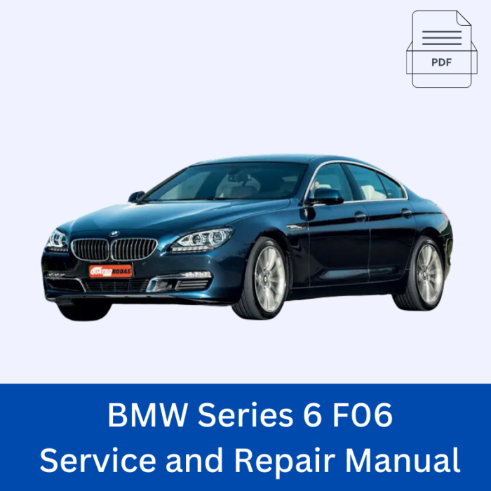 BMW Series 6 F06 Service and Repair Manual