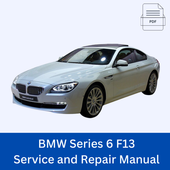 BMW Series 6 F13 Service and Repair Manual