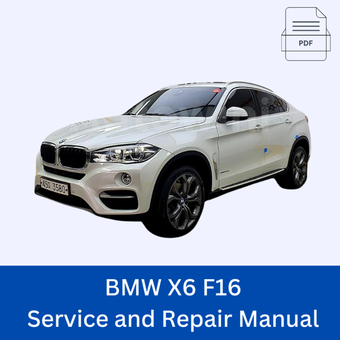 BMW X6 F16 Service and Repair Manual